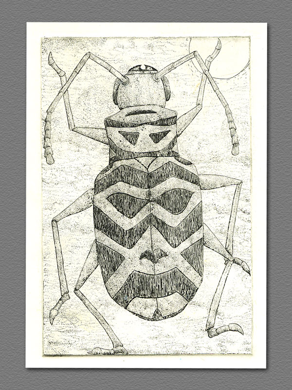 etching - Dancing Beetle
