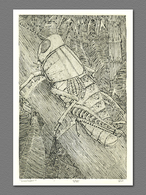 etching - Grasshopper