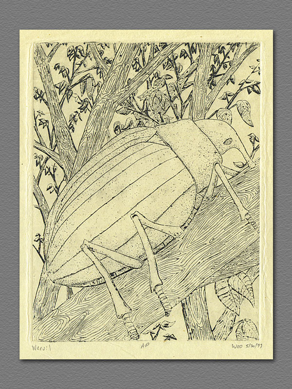 etching - Weevil